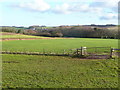 View north-east of the A39