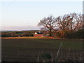 Field next to the Roman road