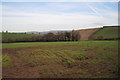 Strip of woodland north-west of Easter Hill