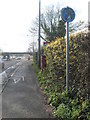 Partially hidden postbox in Woodside Avenue