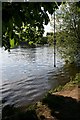 Rope swing by the Thames