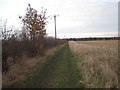 Field path from Mansfield to the River Tees