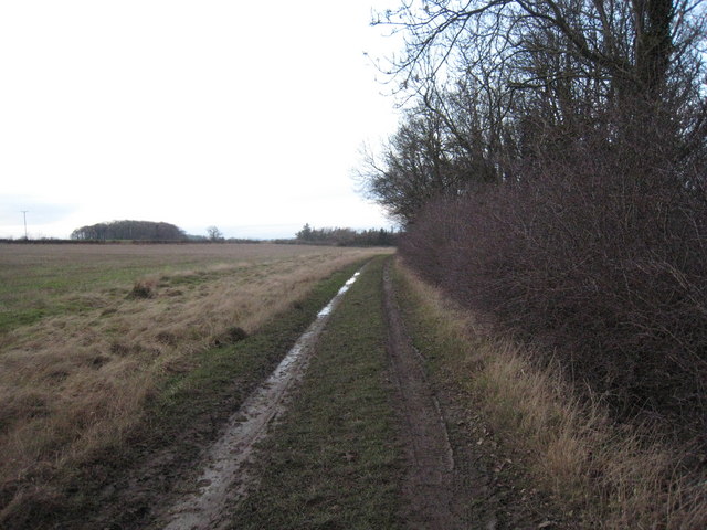 Track and footpath to Holme House