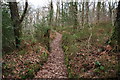 SX7879 : Yarner Wood leat path by Guy Wareham