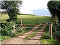 SO8587 : Public footpath from Little Checkhill Lane to Greensforge Lane by P L Chadwick