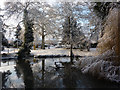 Pond in Needham Market