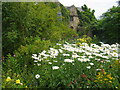 Garden at Crook Hall