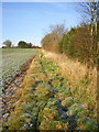 Permissive bridleway at The Hem