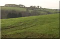 Valley west of Bickleigh