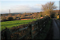 Field by the road to Caydon Farm