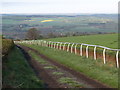 The Gallops at Toft Hill near High Mickley