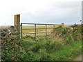 NW9669 : Gate into a field beside the track to Dally by Ann Cook
