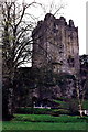 W6075 : Blarney Castle - View to south by Joseph Mischyshyn