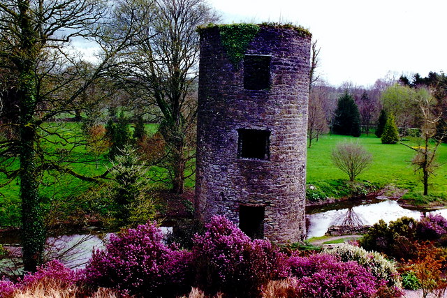 Blarney Castle Grounds  - Adjacent northeast  tower