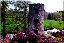 W6075 : Blarney Castle Grounds  - Adjacent northeast  tower by Joseph Mischyshyn