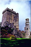 W6075 : Blarney Castle and adjacent east  tower by Joseph Mischyshyn