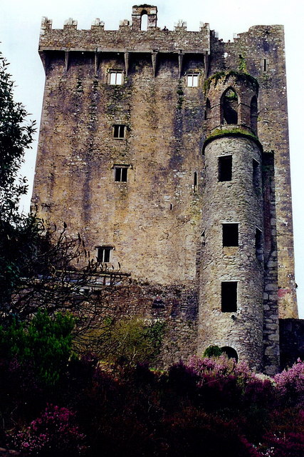 Blarney Castle and adjacent east  tower