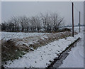 Snowscene by the Bunkers Hill Farm road