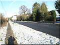 Approaching the turning for Witley Tip on the Petworth Road