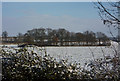 Laneside hedge and field