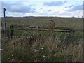 Footpath to Hardwick