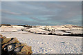 NT5934 : Winter farmland on Bemersyde Hill by Walter Baxter