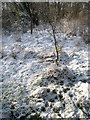 Snow still laying on the footpath from Church Lane to Mare Hill