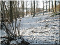 View westwards from the path to Mare Hill