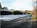 Mid section of Cramhurst Lane