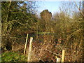 Another disappearing pond, this time at Kemberton