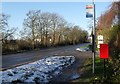 Bus stops on the A259