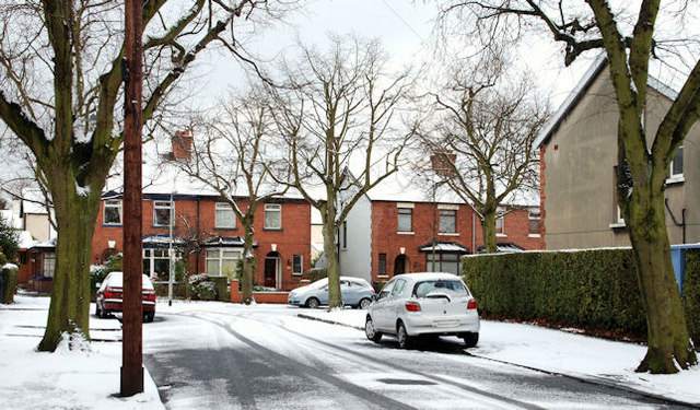 December snow, Belfast 2009-7