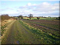 Permissive bridleway down to the road corner