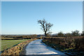 Bridleway to Stockton Mill