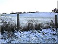 Drumbo Townland