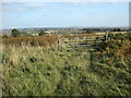 Daventry-Borough Hill Farm