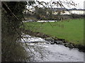 The river Lagan at Donaghcloney