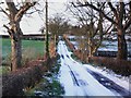 J3262 : Snow on the Lisnode Road by Dean Molyneaux