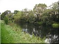 Forth and Clyde Canal, Dalmuir