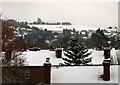 Snowy Roofs