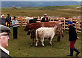 The Bunessan Show, Isle of Mull,  1981