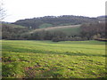 The Burn valley, near East Court