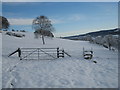 Gate and stile on the footpath to Mill farm (looking east)