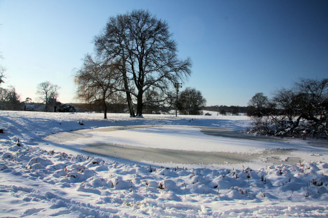 Frozen pond near Ickworth House © Bob Jones cc-by-sa/2.0 :: Geograph ...