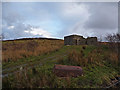 Ruined house in Kilmuir