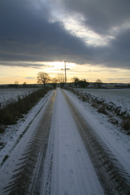 The road from Balcalk Farm, Tealing