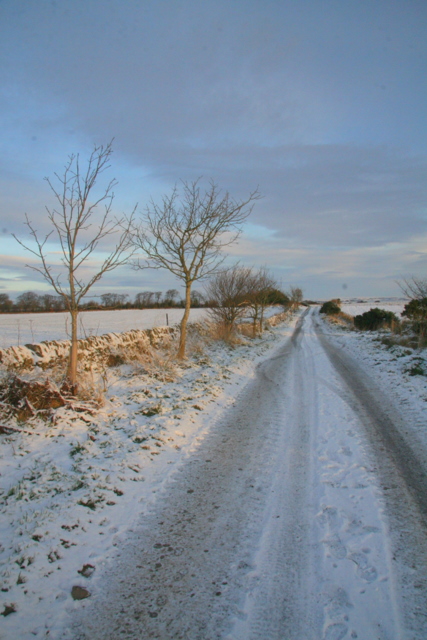 Road North of Nether Finlarg Farm