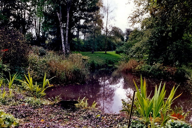 Longford - Carrigglas Manor House pond