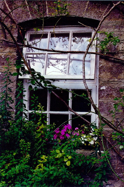 Longford - Carrigglas Manor House stable window