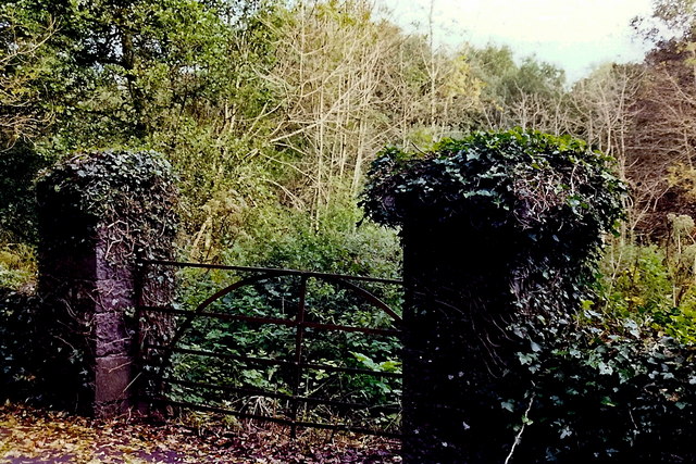 Cong - Gate near Cong Abbey